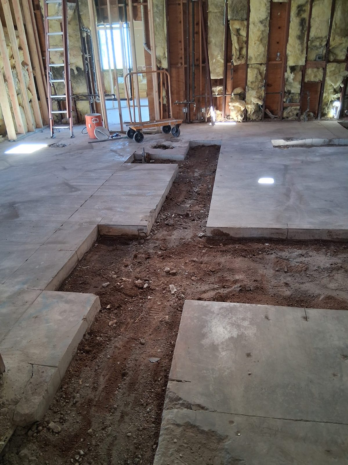 Las Vegas Floor & Wall Removal project detail